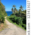A path leading to the sea surrounded by tropical trees 123413027