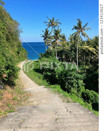 A path leading to the sea surrounded by tropical trees A path leading to the sea surrounded by tropical trees 123413027