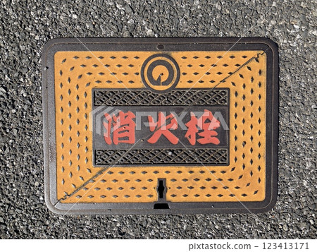 Colorful fire hydrant covers 123413171