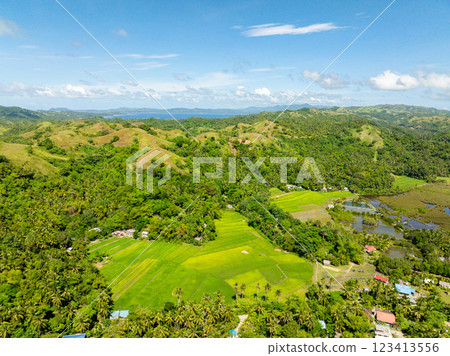 Paddy rice fields and farmlands in tropical island. Santa Fe, Tablas, Romblon. Philippines. 123413556