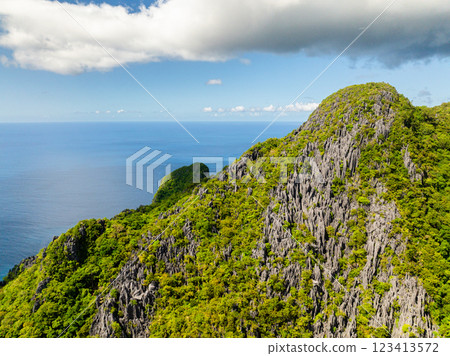Cadlao Island with limestone mountain and plants. El Nido, Palawan. Philippines. Cadlao Island with limestone mountain and plants. El Nido, Palawan. Philippines. 123413572