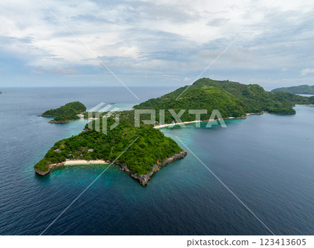 Aerial view of Alad Island with white sand beaches and corals. Romblon, Philippines. Aerial view of Alad Island with white sand beaches and corals. Romblon, Philippines. 123413605