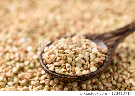 Organic buckwheat seed in wooden spoon with buckwheat background, Food ingredient 123413714