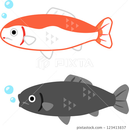 Deformed illustration of a carp Deformed illustration of a carp 123413837