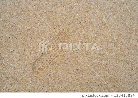 Footprints on the coral beach Footprints on the coral beach 123413854