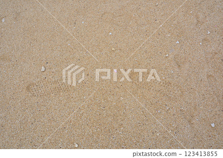 Footprints on the coral beach 123413855