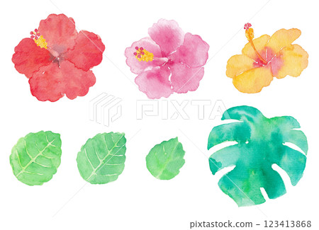 一套芙蓉花和樹葉手繪水彩插畫 一套芙蓉花和樹葉手繪水彩插畫 123413868