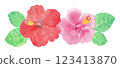 Hibiscus hand-drawn watercolor illustration 123413870