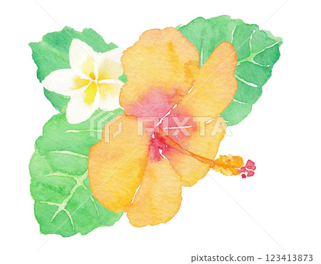 山水芙蓉手繪水彩插畫 123413873
