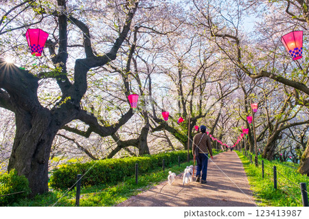 Gyodo Shrine Gyodo Shrine 123413987