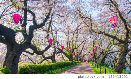Gyodo Shrine 123413991