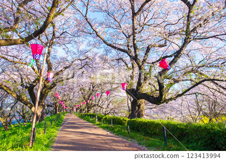 Gyodo Shrine 123413994
