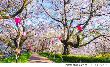 Gyodo神社 123413996