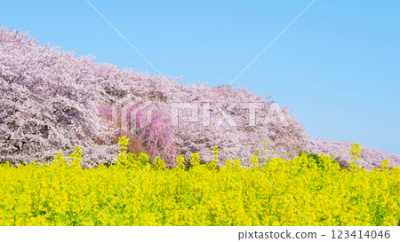 Gyodo Shrine Gyodo Shrine 123414046