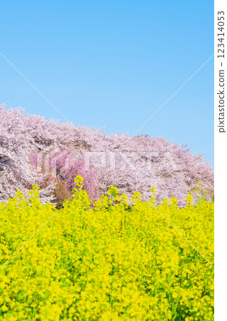 Gyodo神社 123414053