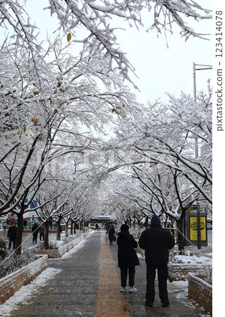 首爾的人行道被大雪覆蓋 首爾的人行道被大雪覆蓋 123414078