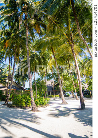 Beach resort in the Maldives, Asia Beach resort in the Maldives, Asia 123414701