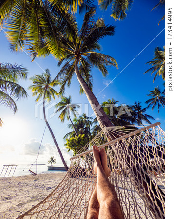 Beach resort in the Maldives, Asia 123414995