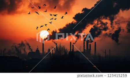 polluted industrial landscape at sunset with flying birds 123415259