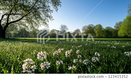 fresh spring morning in park with dew covered grass and flowers fresh spring morning in park with dew covered grass and flowers 123415352
