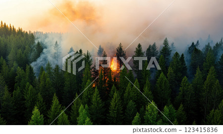 dense forest engulfed in flames, smoke billowing into sky 123415836