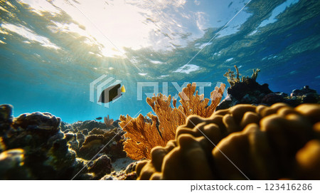 vibrant underwater scene featuring coral reefs and fish swimming gracefully vibrant underwater scene featuring coral reefs and fish swimming gracefully 123416286