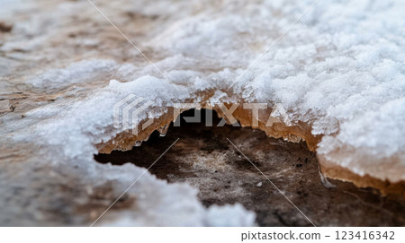close up view of ice melting, revealing textures and colors beneath close up view of ice melting, revealing textures and colors beneath 123416342