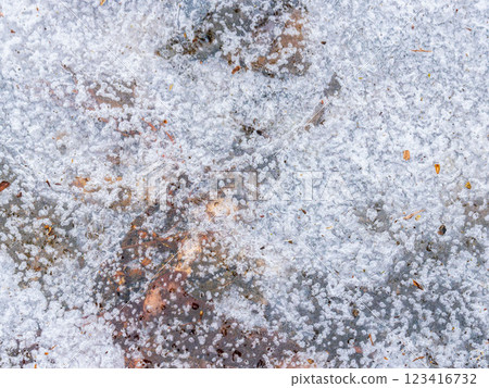 融化、凍結的雪和枯葉 11 融化、凍結的雪和枯葉 11 123416732