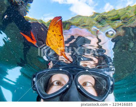 A half-surface photo of a beautiful juvenile reef batfish swimming in shallow waters and me at Nakagi Hirizo Beach, Minamiizu-cho, Kamo-gun, Izu Peninsula, Shizuoka Prefecture 123416885