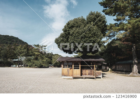 [橛原神社] 歷史神社風景 123416900