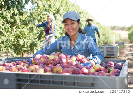 Portrait of a Asian farmer woman squatting near a crate of ripe plums 123417250