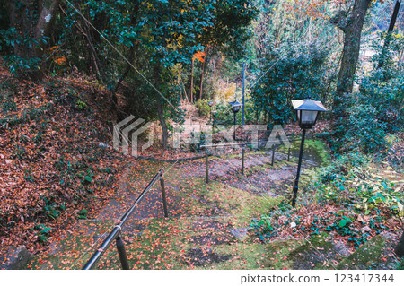 [Asuka Village] A hidden gem in Nara at dusk 123417344