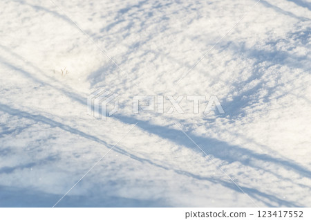 Snow texture. Winter background with snowflakes and ice crystals. Snow texture. Winter background with snowflakes and ice crystals. 123417552
