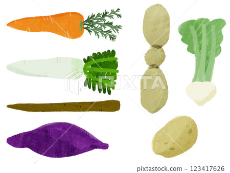 根莖類蔬菜手繪彩色插圖集 123417626