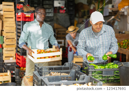 Man working in vegetable warehouse 123417691