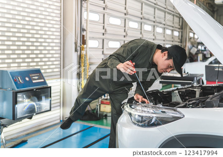 Male staff of car mechanics and inspectors working at a repair shop 123417994