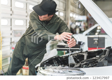 Male staff of car mechanics and inspectors working at a repair shop 123417997