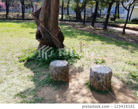 沖繩那霸市松山公園 18 沖繩那霸市松山公園 18 123418181