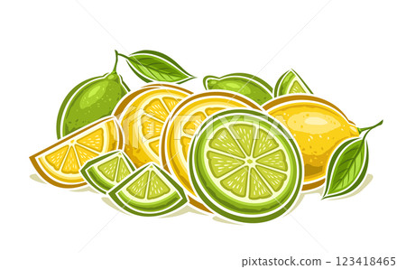 Vector Lemon and Lime still life 123418465
