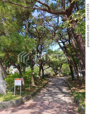 沖繩那霸市松山公園21 沖繩那霸市松山公園21 123418558
