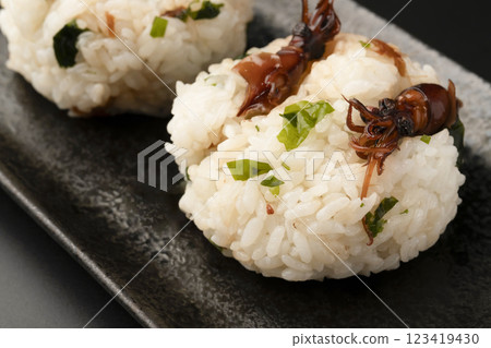 黑色背景中的螢火蟲魷魚和海藻飯糰 黑色背景中的螢火蟲魷魚和海藻飯糰 123419430