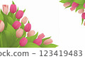 Colorful tulip illustration, white background, white space, AI-generated image (Adobe Firefly) 123419483