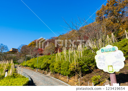 Clear blue skies and autumn leaves at their best | Nishiyama Park | Preparations for winter with snow hanging | Sabae City, Fukui Prefecture 123419654