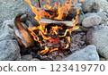grill fish on a bonfire 123419770