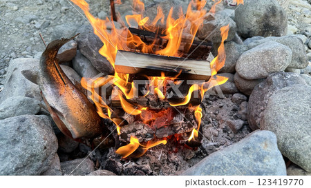 grill fish on a bonfire grill fish on a bonfire 123419770