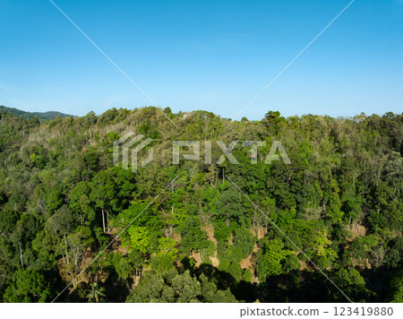 Beautiful tropical rainforest in summer season image by Aerial view drone shot, high angle view Beautiful tropical rainforest in summer season image by Aerial view drone shot, high angle view 123419880