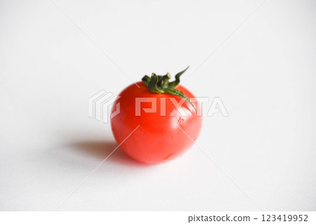 Mini Tomato Mini Tomato 123419952