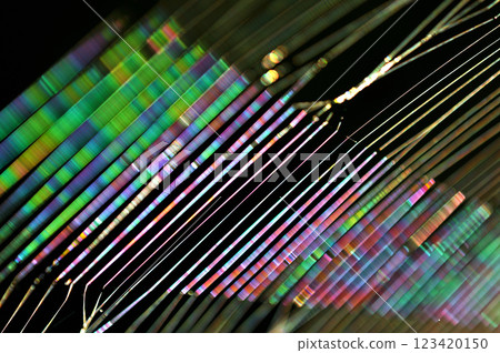 A close-up of a spider web shining iridescently in the morning sun 123420150