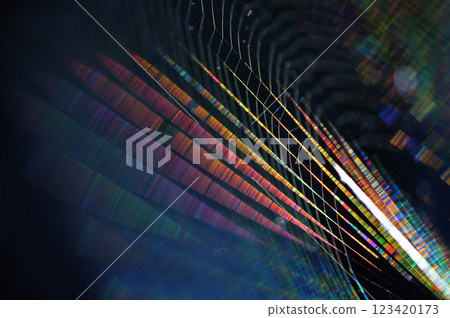 A close-up of a spider web shining iridescently in the morning sun A close-up of a spider web shining iridescently in the morning sun 123420173