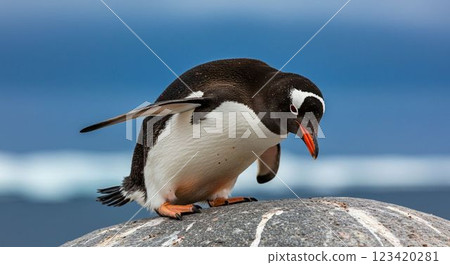 企鵝 企鵝 123420281
